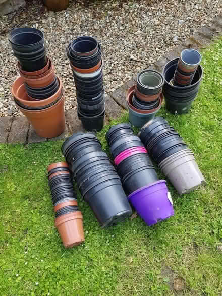 Photo of free Variety of plastic plant pots (Oxton CH43) #1