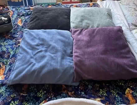 Photo of free Cushions (Gillingham ME7) #1