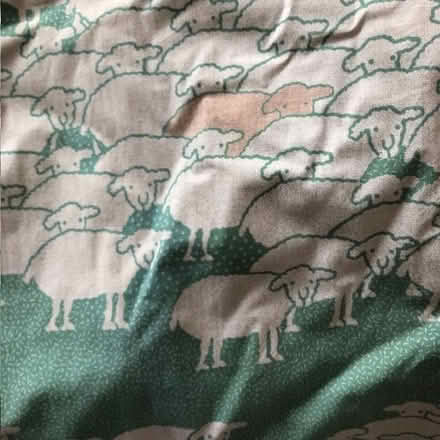 Photo of free Curtains with sheep pattern (Kew W4) #1
