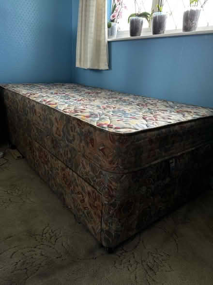 Photo of free Single bed (ME2) #1