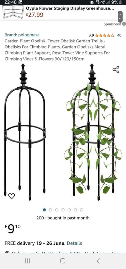 Photo of Climbing plant supports/bamboo (Ilkeston, DE7) #1