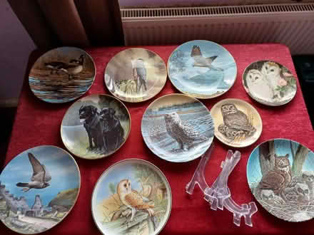 Photo of free Bird plates and stands (Bushey North WD23) #1