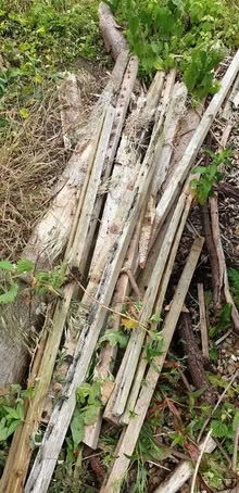 Photo of free Wood for burning (Cranfield MK43) #2