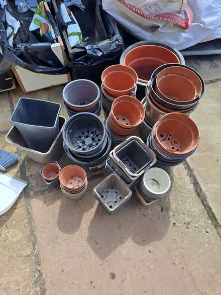 Photo of free Assortment of plant pots (SY3) #1