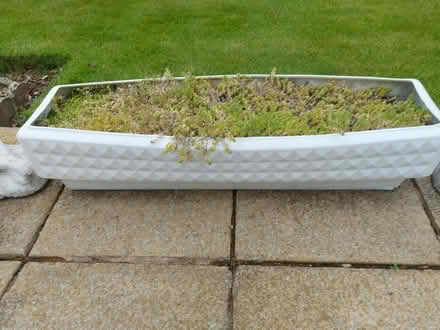 Photo of free Garden plant pot (Heswall wirrsl) #1
