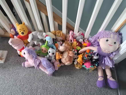 Photo of free Job lot of teddies and dolls (WN6 shevington) #1