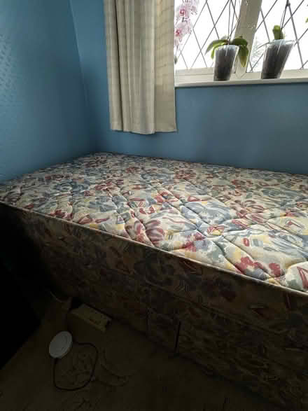 Photo of free Single bed (ME2) #2