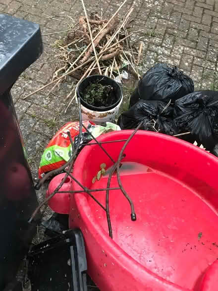 Photo of free Turtle shaped sandpit (Selsdon) #2