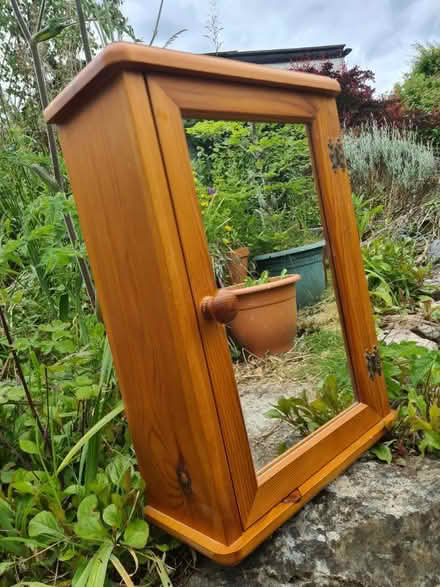 Photo of free Mirrored bathroom wall cabinet (EX13) #1