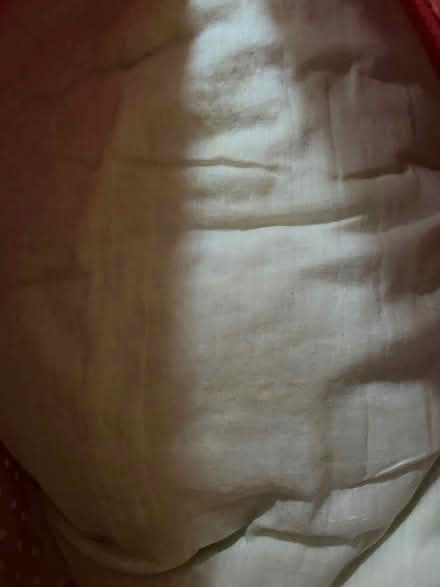 Photo of free Large duvet (L19) #1