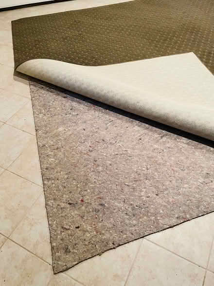 Photo of free 10x12 AREA RUG (Near Hindu Temple) #1