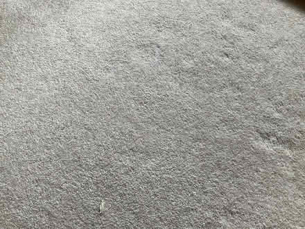 Photo of free Carpet - sandy colour (Gerrards Cross SL9) #1