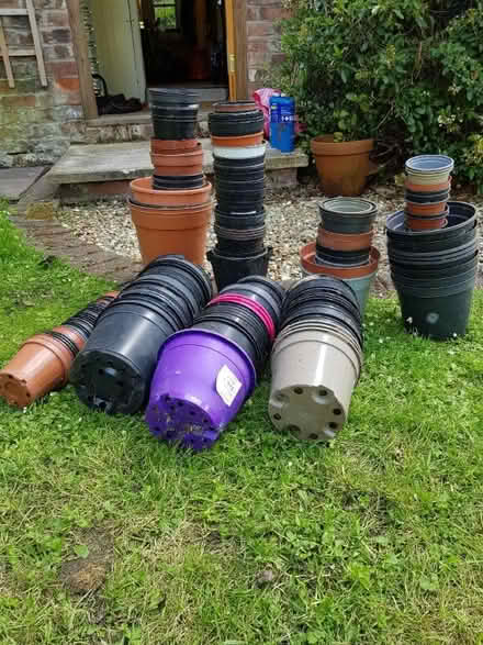 Photo of free Variety of plastic plant pots (Oxton CH43) #2