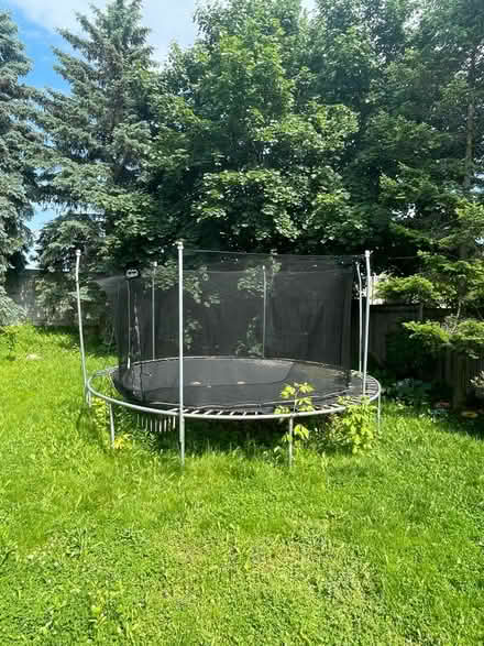 Photo of free Trampoline (Aurora) #1