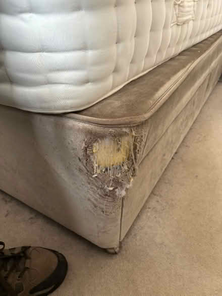 Photo of free Superking bed with headboard and mattress (Wollaton NG8) #3