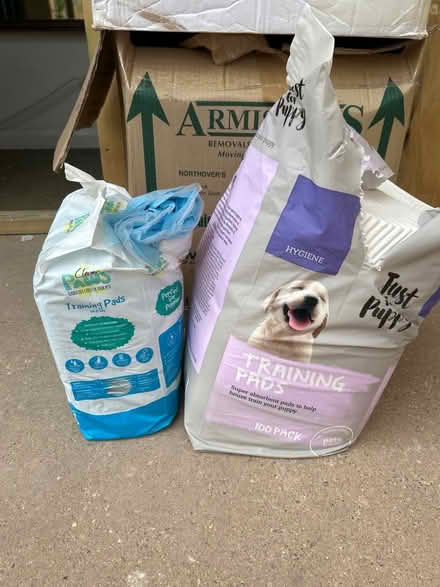 Photo of free Puppy training pads (Reading University RG6) #1