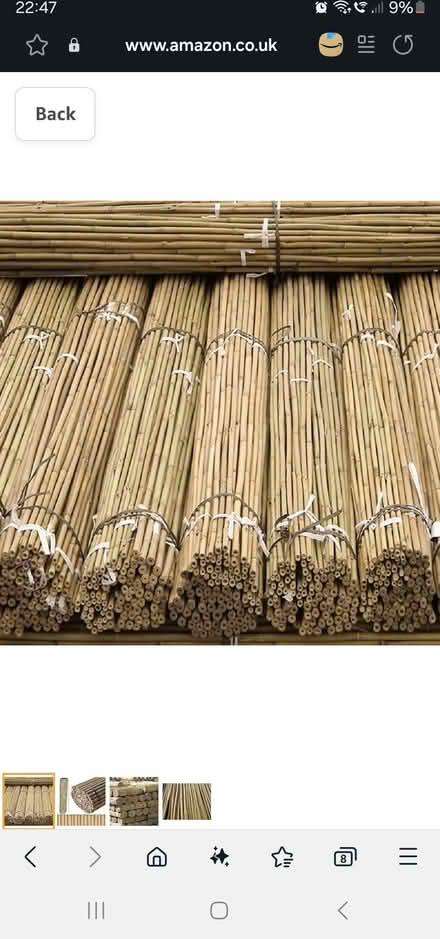 Photo of Climbing plant supports/bamboo (Ilkeston, DE7) #2
