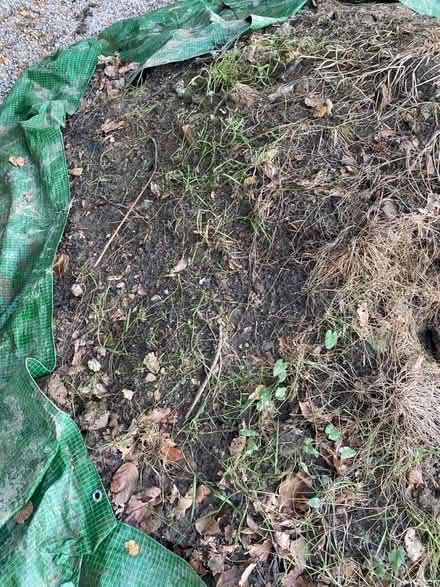 Photo of free Top Soil (Catsfield) #2