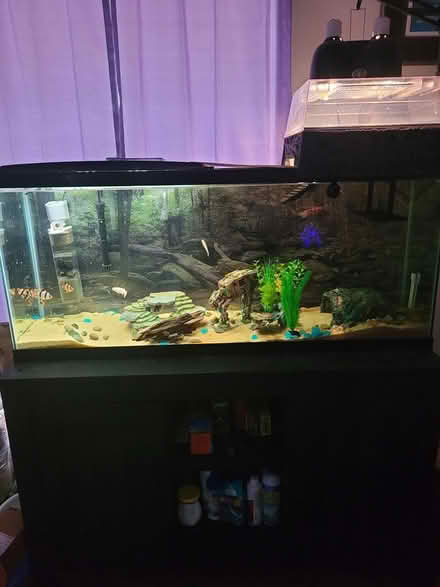 Photo of free Fish tank and stand (South) #1