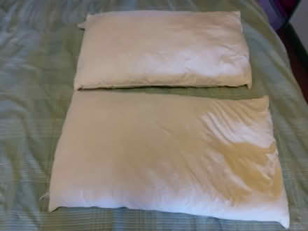 Photo of free pillows (OL6) #1