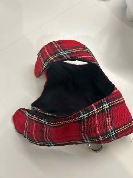 Photo of free Cat harness and lead (SE17) #2