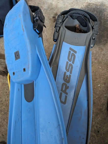 Photo of free Cressi-Sub Dive/Scuba Fins (Allendale NJ) #3