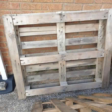 Photo of free Two wooden pallets (Morfa Penrhyn LL28)