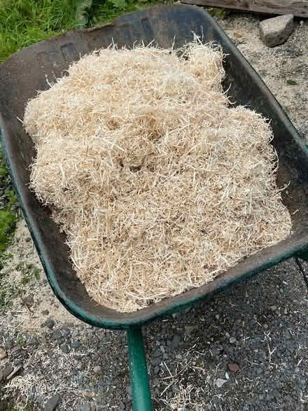 Photo of free Wood shavings (Sedbergh LA10) #1