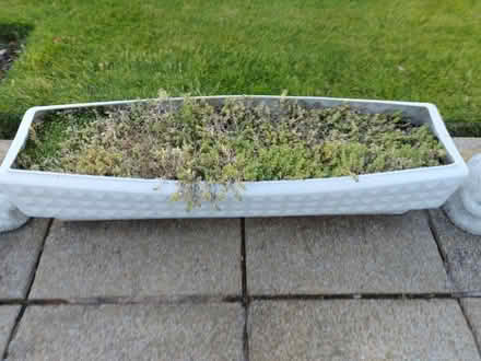 Photo of free Large Plant box (Gayton CH60) #1