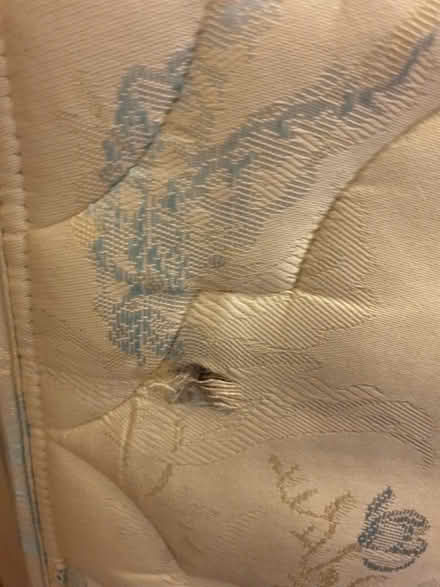 Photo of free Single mattress (Yaxley) #3