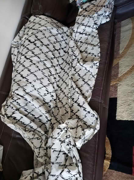 Photo of free 4 sheer curtains (Petworth) #1