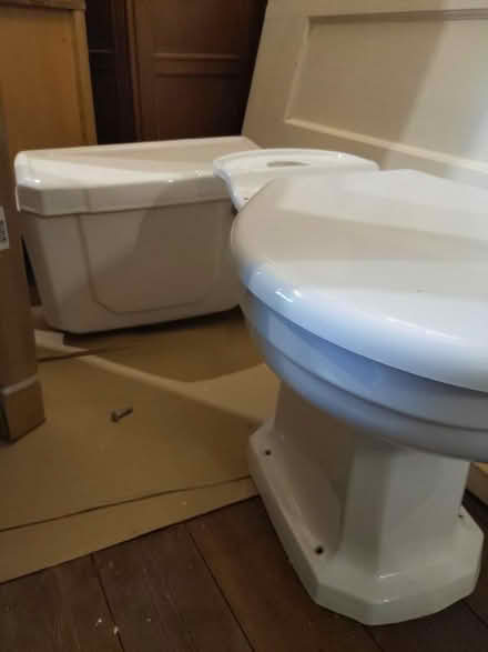 Photo of free Back to wall toilet (Llansantffraid SY22) #1