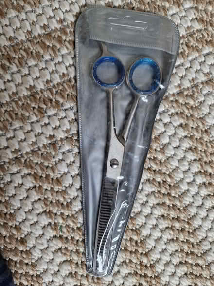 Photo of free Haircutting thinning scissors (Woking GU22 9) #1