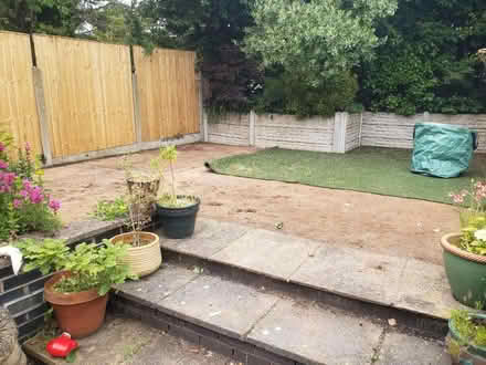 Photo of free Used Fake grass (CH49) #3