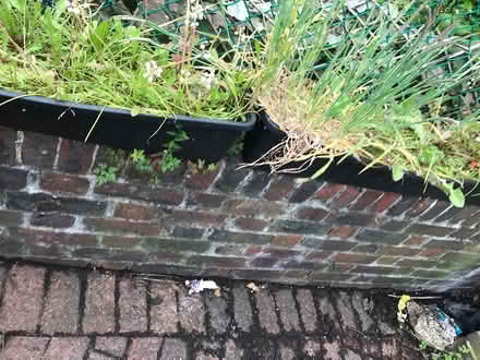 Photo of free 4 long flower pots (Selsdon) #1