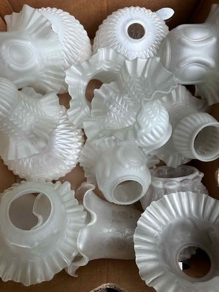 Photo of free Glass lamp shades (Greystones S11) #1