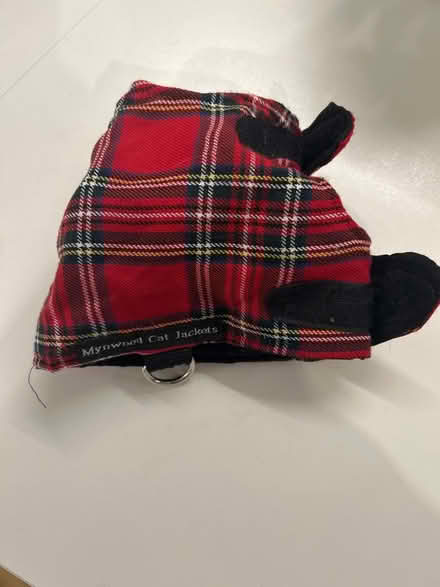 Photo of free Cat harness and lead (SE17) #1