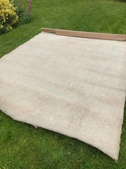 Photo of free Carpet (Thurston IP31) #1