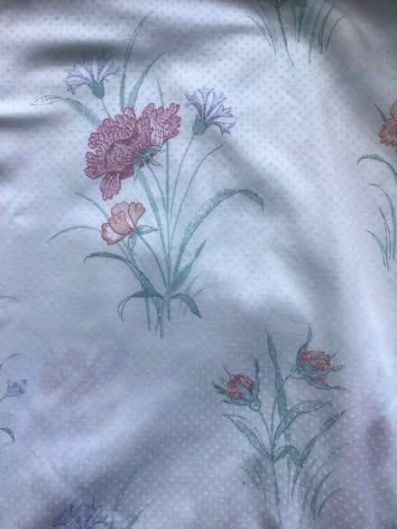 Photo of free Pair of curtains (Prestbury GL52) #2