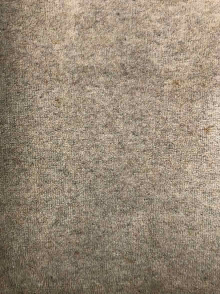 Photo of free Carpet (Thurston IP31) #2