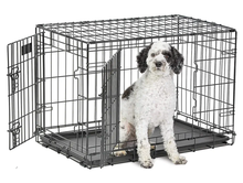 Photo of free 2 door Dog crate 30x19x21 (Hatfield 19440) #2