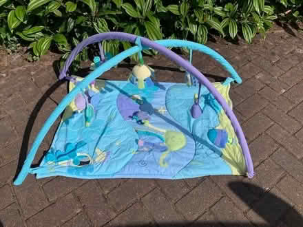 Photo of free Mamas & Papas Baby Activity Gym (Auchenlay FK15) #1
