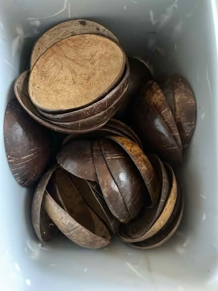 Photo of free Coconut shells (Kingswood) #1