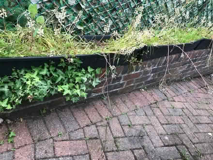 Photo of free 4 long flower pots (Selsdon) #2