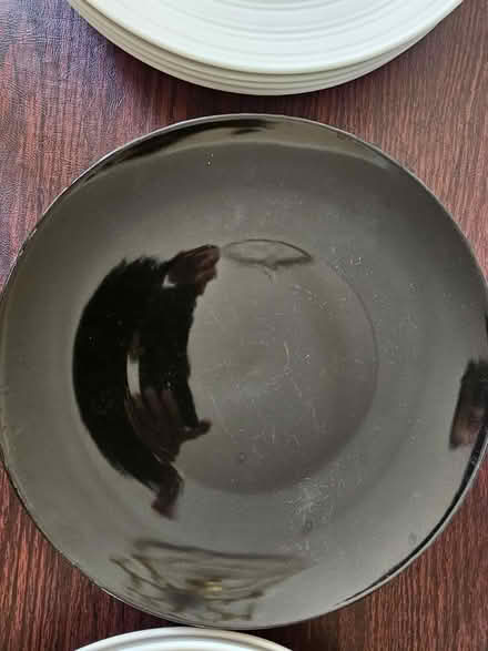 Photo of free Dinner plates (Raritan Township/Ringoes) #2