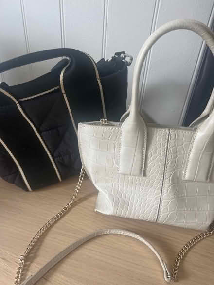 Photo of free Two Zara bags (Chelsea (SW10)) #1