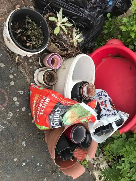 Photo of free Lots of flower pots (Selsdon) #1