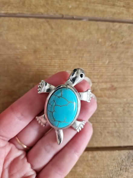 Photo of free Turtle Pendant / Brooch (Woking GU22 9) #3