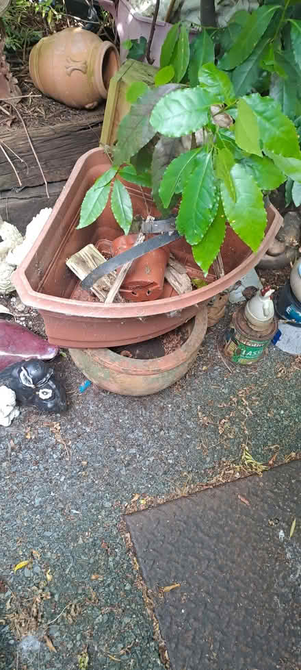 Photo of free Garden Planting Pots & Ornaments (Rathfarnham) #2