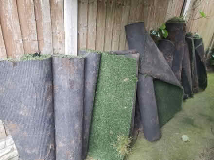 Photo of free Used Fake grass (CH49) #1